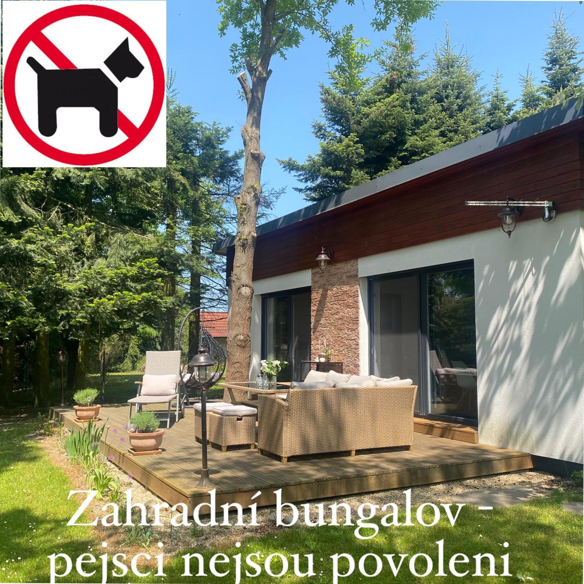 Vila Evio Třeboň Camera foto