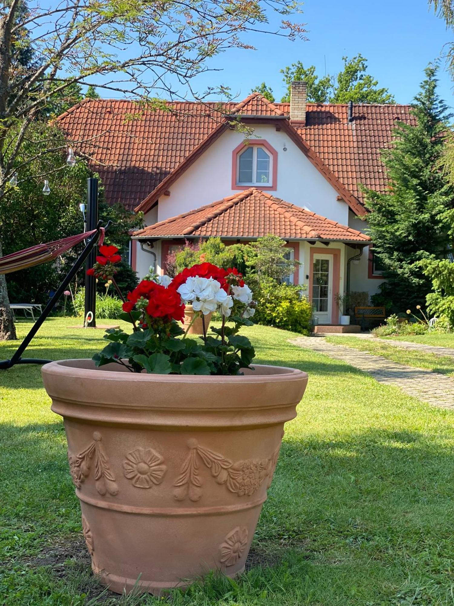 Vila Evio Třeboň Esterno foto
