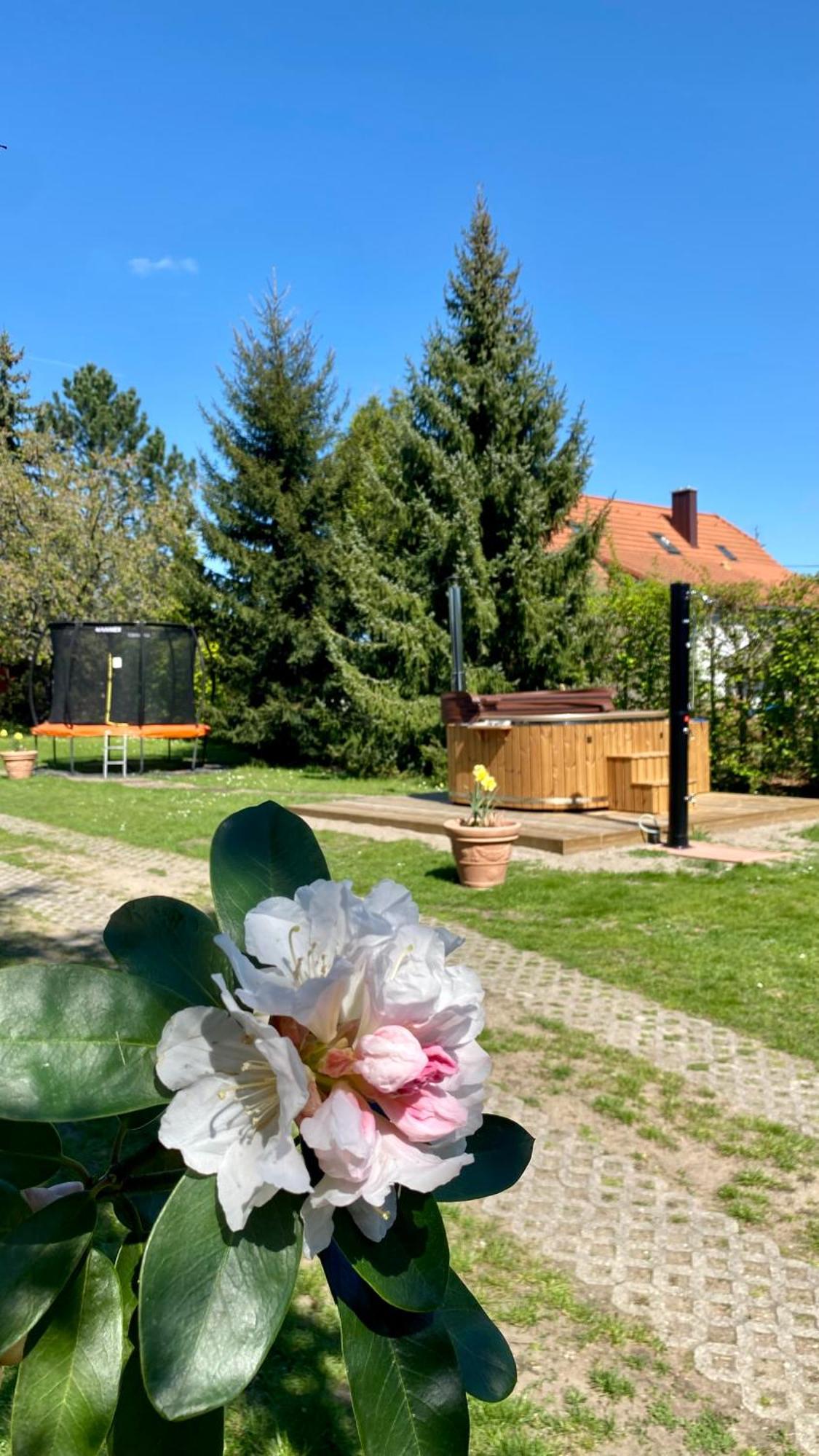Vila Evio Třeboň Esterno foto